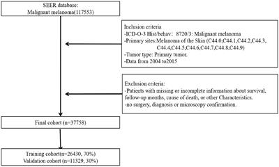 Deep-learning-based survival prediction of patients with cutaneous malignant melanoma